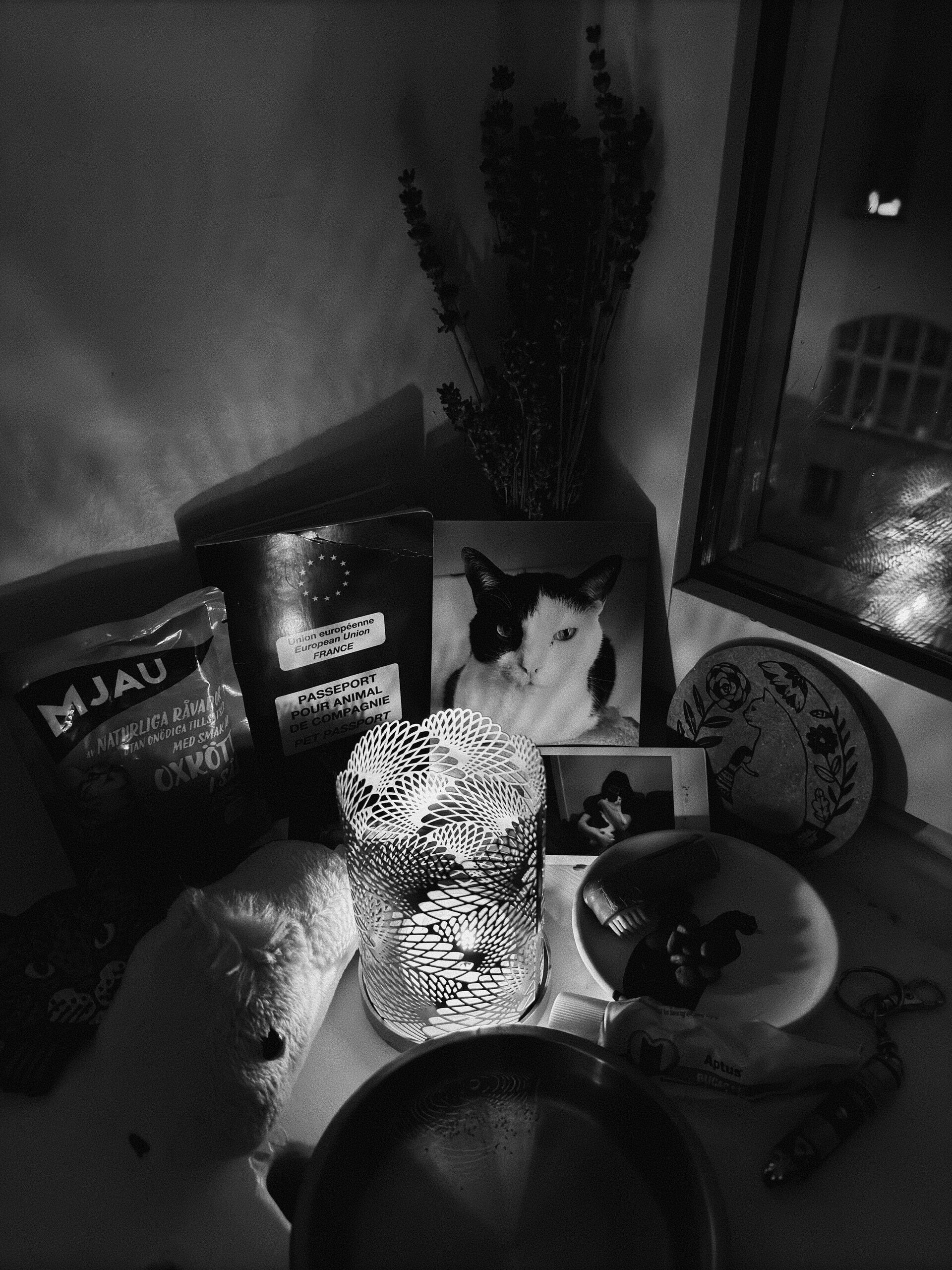 Sat, 14 Feb 2026 23:55:51 +0100